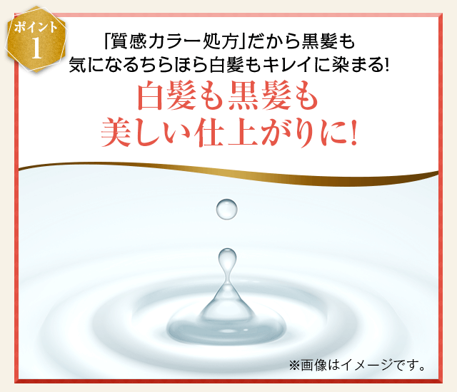 白髪も黒髪も美しい仕上がりに