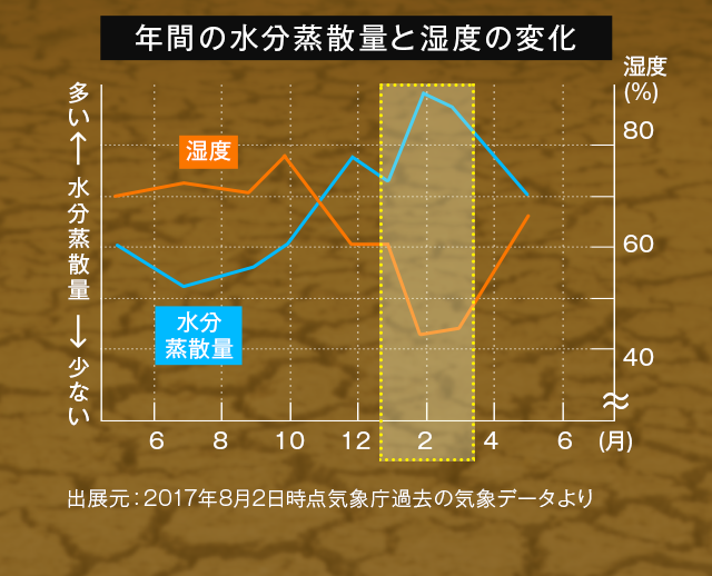 放っておくと…