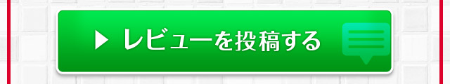 レビューを投稿する