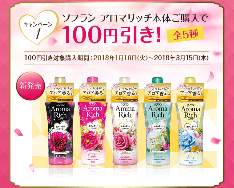 本体ご購入で100円引き