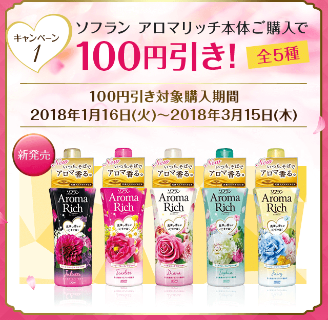 本体ご購入で100円引き