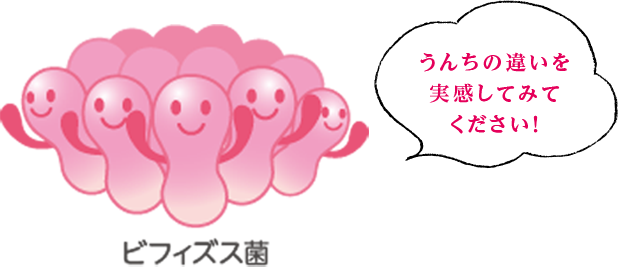 ビフィズス菌
