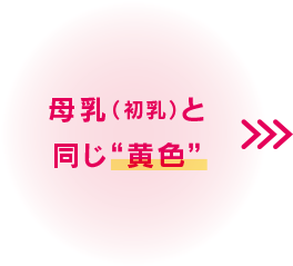 母乳（初乳）と同じ黄色