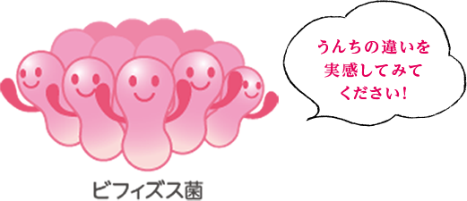 ビフィズス菌