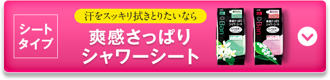 爽快さっぱりシャワーシート