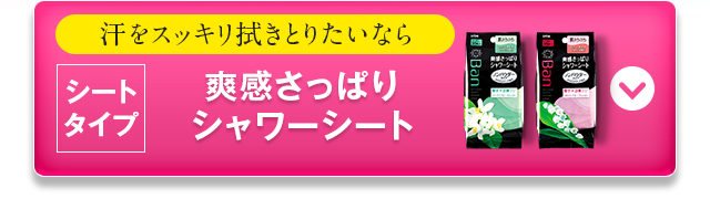 シートタイプ　爽感さっぱりシート