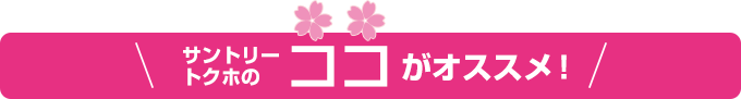 サントリートクホのココがオススメ！