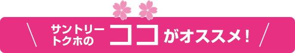 こんな時にサントリートクホ