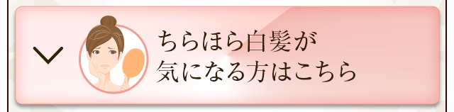 ちらほら白髪が気になる方はこちら