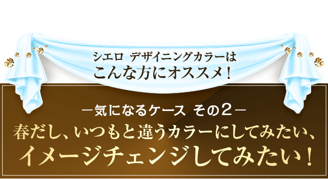 気になるケースその2　いつもと違うカラーでイメージチェンジしてみたい！
