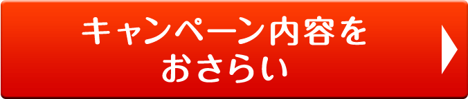 キャンペーン内容をおさらい
