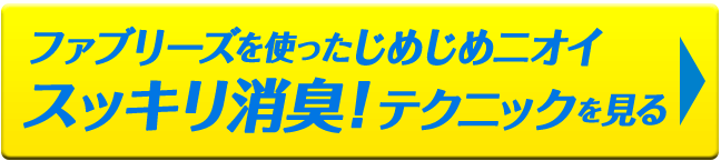 ファブリーズを使ったじめじめニオイ スッキリ消臭！テクニックを見る