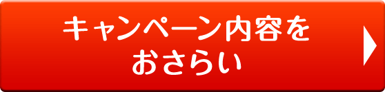 キャンペーン内容をおさらい