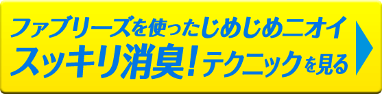 ファブリーズを使ったじめじめニオイ スッキリ消臭！テクニックを見る