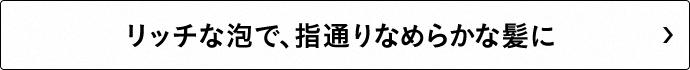 リッチな泡で、指通りなめらかな髪に