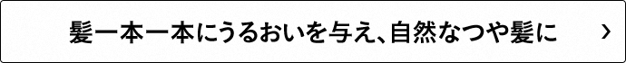 髪一本一本にうるおいを与え、自然なつや髪に