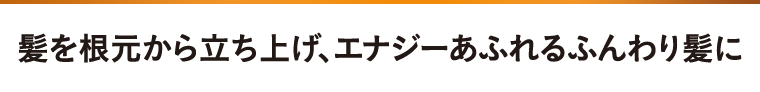 髪を根元から立ち上げ、エナジーあふれるふんわり髪に