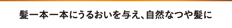 髪一本一本にうるおいを与え、自然なつや髪に
