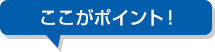 ここがポイント！