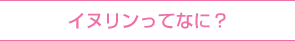 イヌリンってなに？