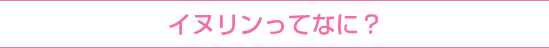 イヌリンってなに？