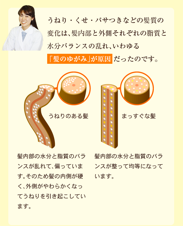 うねり・くせ・パサつきなどの髪質の変化は、髪内部と外側それぞれの脂質と水分バランスの乱れ、いわゆる「髪のゆがみ」が原因だったのです。