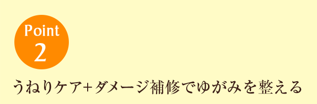 Point2うねりケア+ダメージ補修でゆがみを整える