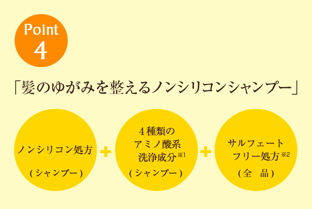 Point4「髪のゆがみを整えるノンシリコンシャンプー」