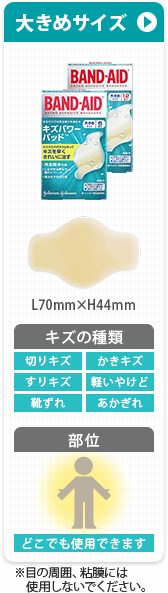 大きめサイズ