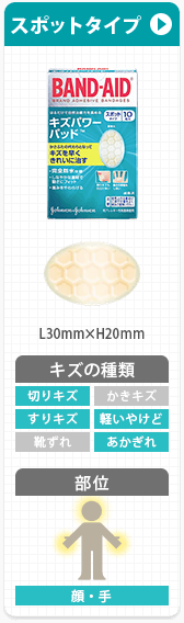 スポットタイプ