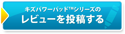 レビューを投稿する