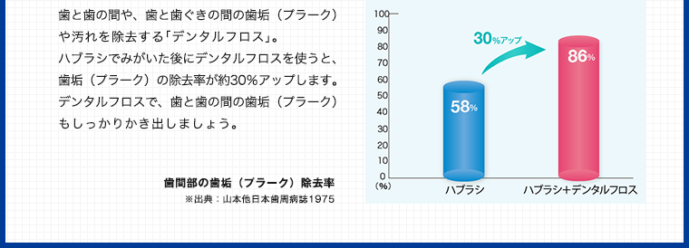 歯と歯の間や、歯と歯ぐきの間の歯垢（プラーク）や汚れを除去する｢デンタルフロス｣。ハブラシでみがいた後にデンタルフロスを使うと、歯垢（プラーク）の除去率が約30％アップします。デンタルフロスで、歯と歯の間の歯垢（プラーク）もしっかりかき出しましょう。歯間部の歯垢（プラーク）除去率 ※出典：山本他日本歯周病誌1975