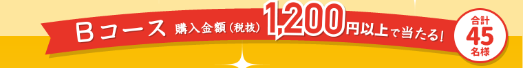 Bコース　購入金額(税抜)1,200円以上で当たる！合計45名様