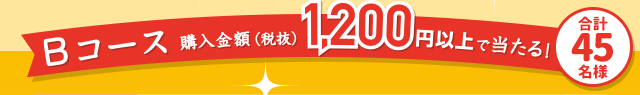 Bコース　購入金額(税抜)1,200円以上で当たる！合計45名様