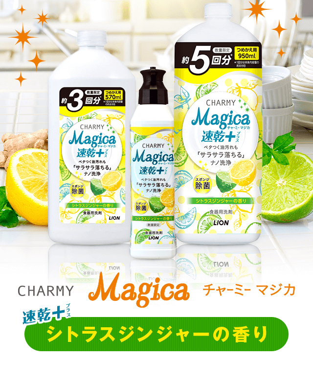 本体 つめかえ用大型サイズ約3回分　つめかえ用大型サイズ約5回分