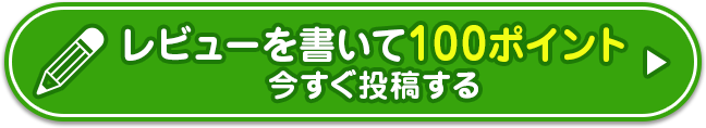 レビューを書いて100ポイント 今すぐ投稿する