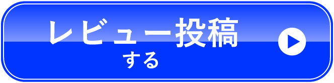 レビュー投稿する