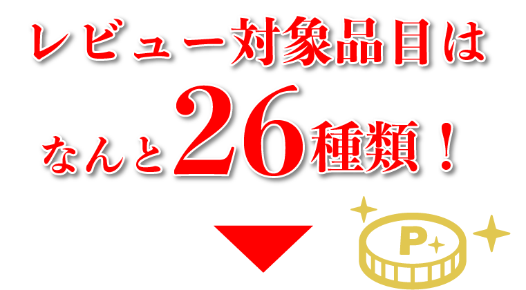 レビュー対象品目はなんと26種類！