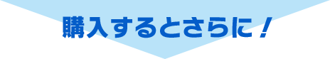 購入するとさらに！