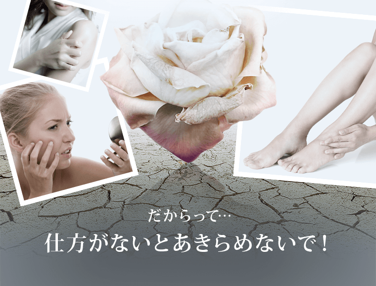 実はオトナ肌の乾燥は「加齢」に伴う自然な現象なんです。