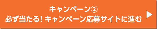 キャンペーン2 必ず当たる！キャンペーン応募サイトに進む