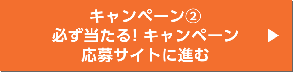 キャンペーン2 必ず当たる！キャンペーン応募サイトに進む