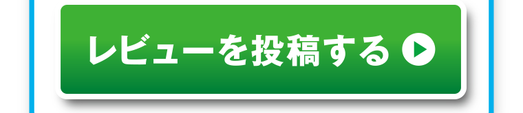 レビューを投稿する