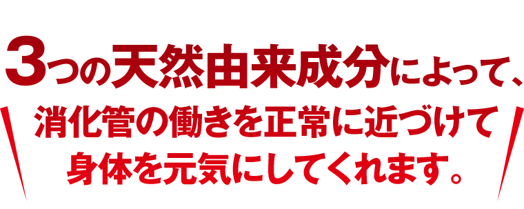 3つの天然由来成分によって、消化管の働きを正常に近づけて身体を元気にしてくれます。