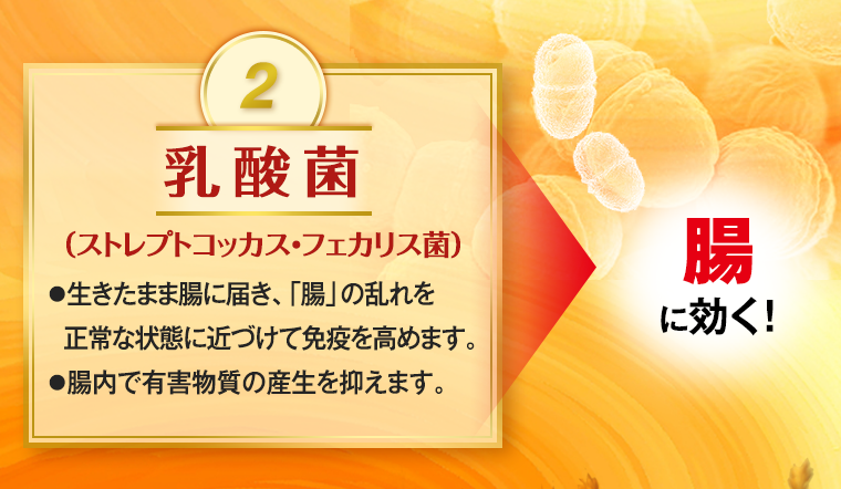 2.乳酸菌(ストレプトコッカス・フェカリス菌) ●生きたまま腸に届き、「腸」の乱れを正常な状態に近づけて免疫を高めます。●腸内で有害物質の産生を抑えます。 →腸に効く