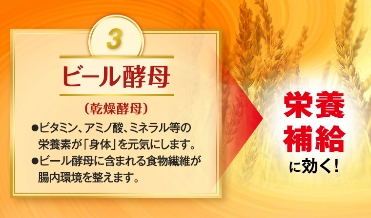 3.ビール酵母(乾燥酵母) ●ビタミン、アミノ酸、ミネラル等の栄養素が「身体」を元気にします。●ビール酵母に含まれる食物繊維が腸内環境を整えます。 →栄養補給に効く