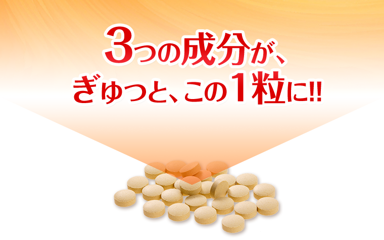 3つの成分が、ぎゅっと、この1粒に！！
