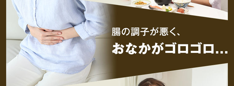 腸の調子が悪く、おなかがゴロゴロ...