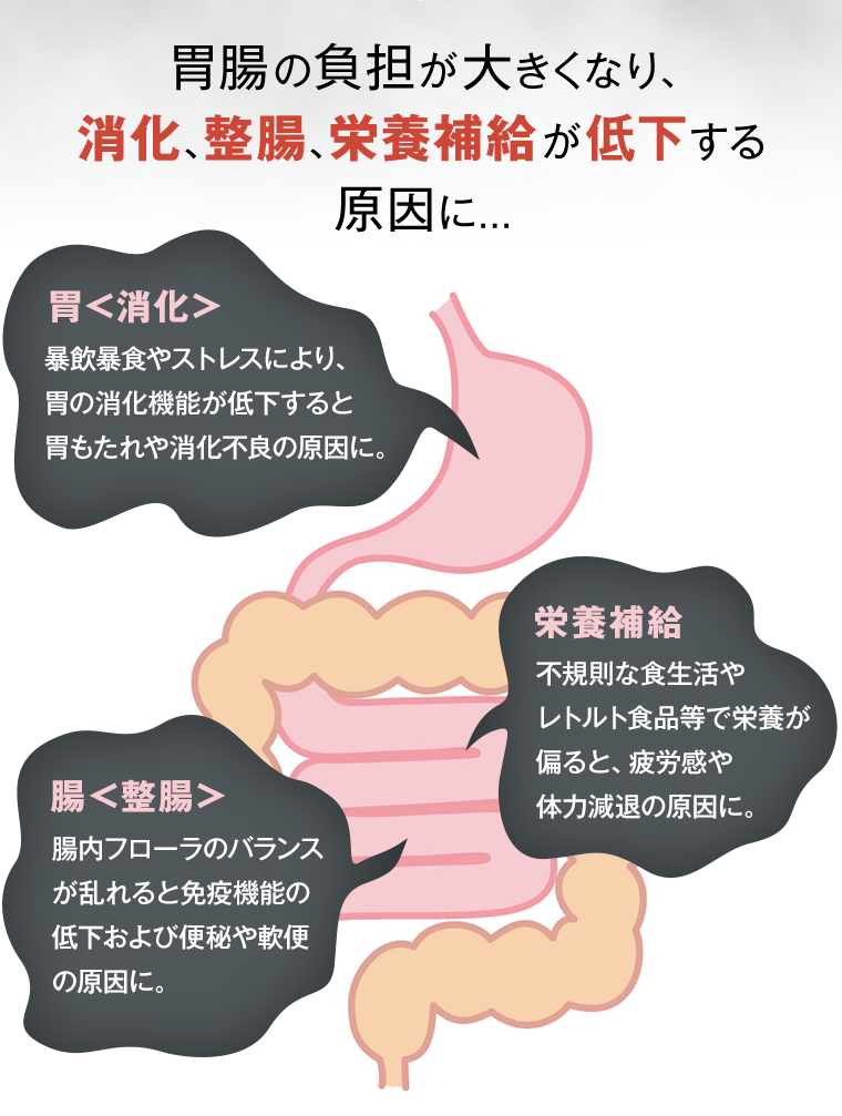 胃腸の負担が大きくなり、消化、整腸、栄養補給が低下する原因に...