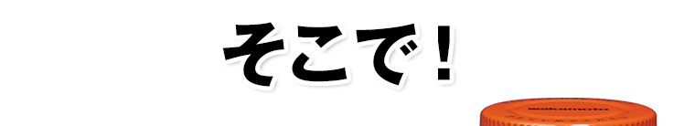 そこで！